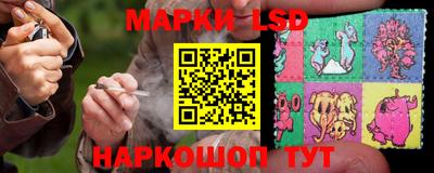 сатива Кимры