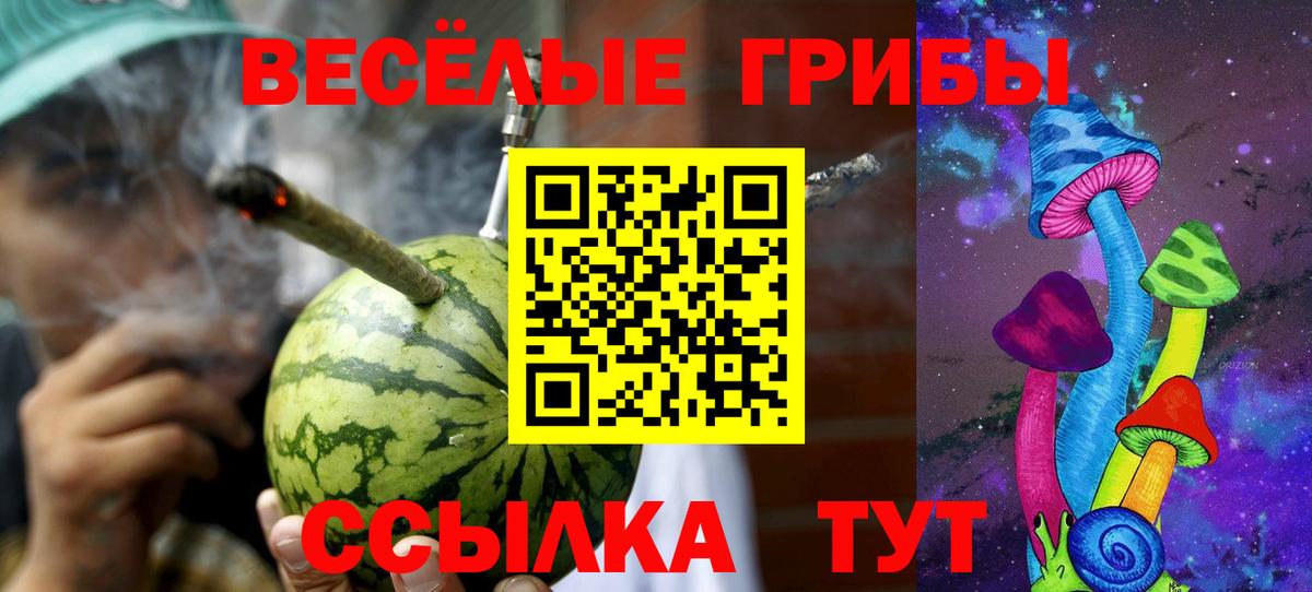 Галлюциногенные грибы MAGIC MUSHROOMS Кирово-Чепецк